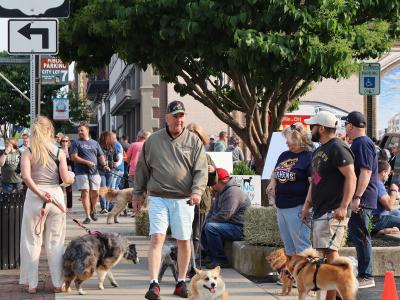 Barking Lot 2025