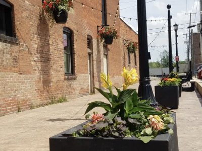 Box Planters