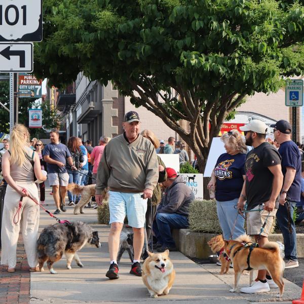 Barking Lot 2025