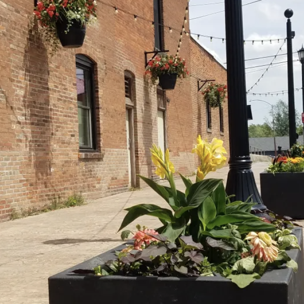 Box Planters